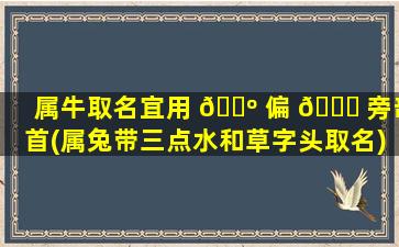 属牛取名宜用 🐺 偏 🐈 旁部首(属兔带三点水和草字头取名)